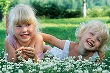 ������ � ���� ������������������ ������ �� ������� �����