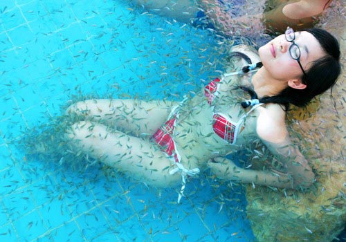 ������ ������� � �����