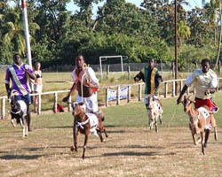 ����� ������ � ������ � �����