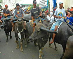 ��������� �������� ������� �������