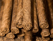 12-� ��������� ������������� ��������� �����