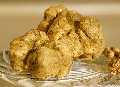 ������� ��������