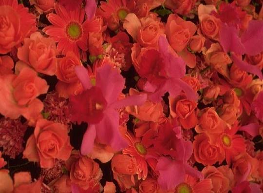 ��� ������ � �������