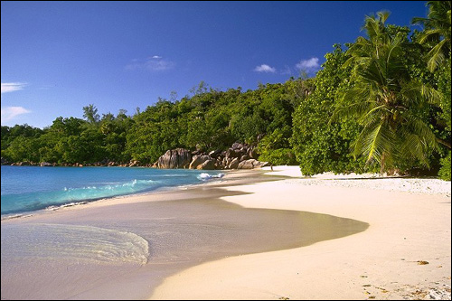  �� ������� ���� (���) ������� ����� ������� ������� � ������� ���������� 