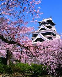 ������ ������������ ��������