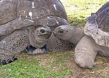 ������������� ��������� ���������� �� �������� ����������