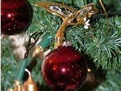 ��������� �� ������� ����������