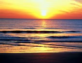 � ������� ������� ��������� ����������