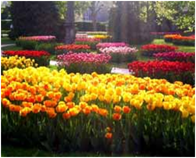 ��������� ���������