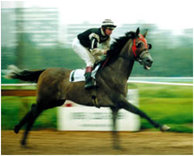 ������: ����� ���� � �����