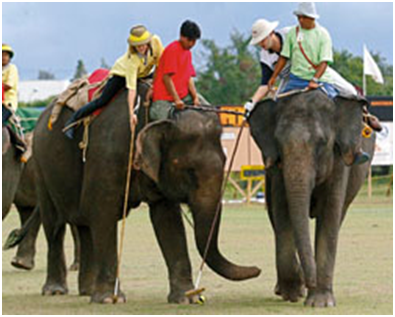 ������ �� ���������� ���� �� ����������� �����