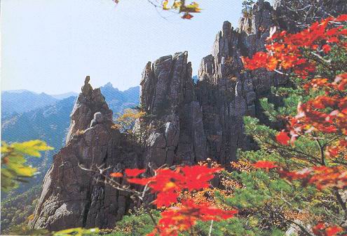 ����� ����� ���������� ���������� � ��������