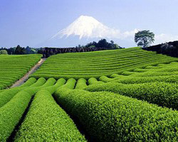 ��������� ������ ��� � ������