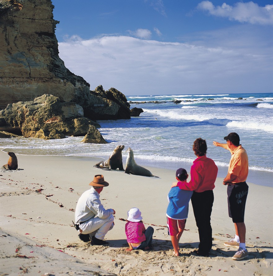 ��������� ���������� � ���������� ���� 