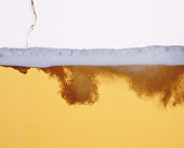 � ����� ����� �����