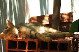 ������� ��-�� ������� ���������� �� ������