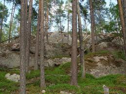 � ����� ������� ����������� ��������� �� ������� 