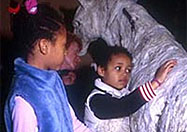 ���� ���������� ��������� ��������� ������