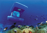 ����������� �� ��� ������ 