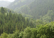 �� ���� ���������� �������� ���! 