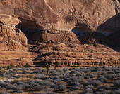 Thai Pusam � ������� Batu 