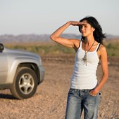 �Desert Festival� � �����������, �����