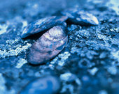 ����� �������� ������� ����� ����� �� �������